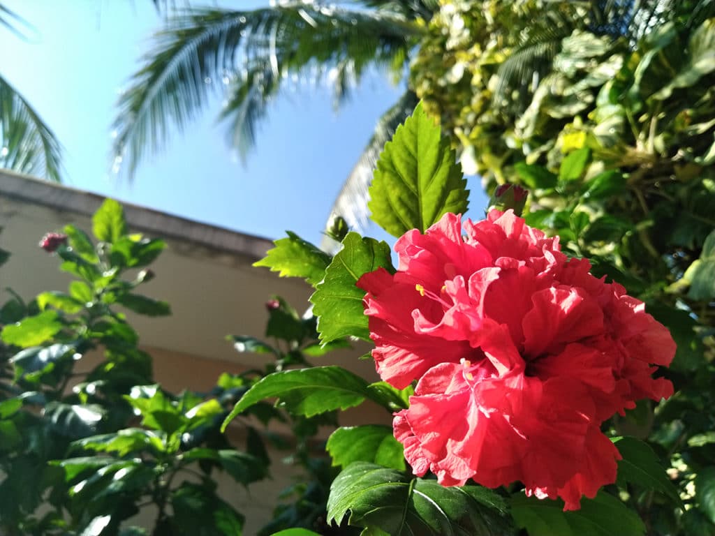 GadgetMatch-ASUS-5Q-photo-samples-20180324-14-1024x768.jpg