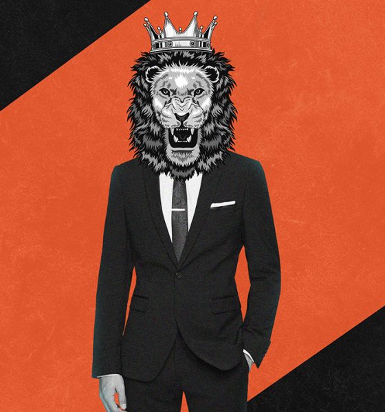 Grooming accessories