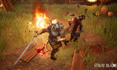 Stray Blade