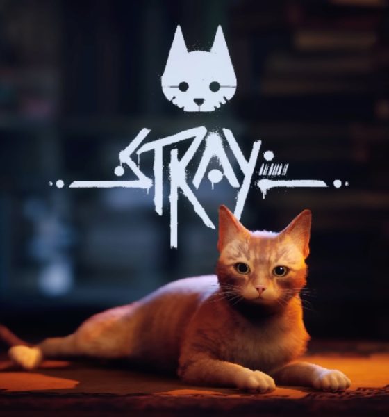 Stray