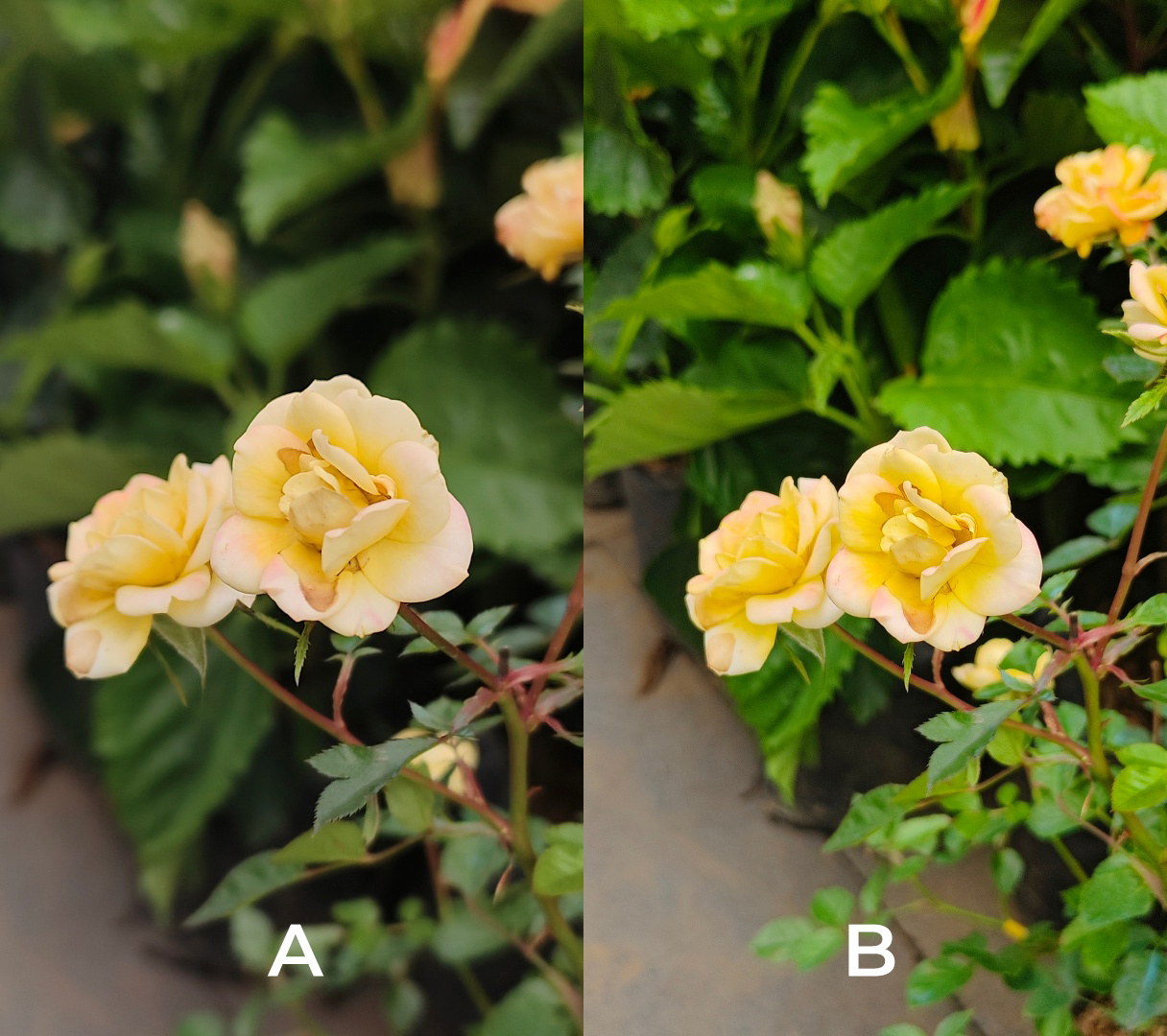 iQOO 9T vivo X80 Pro