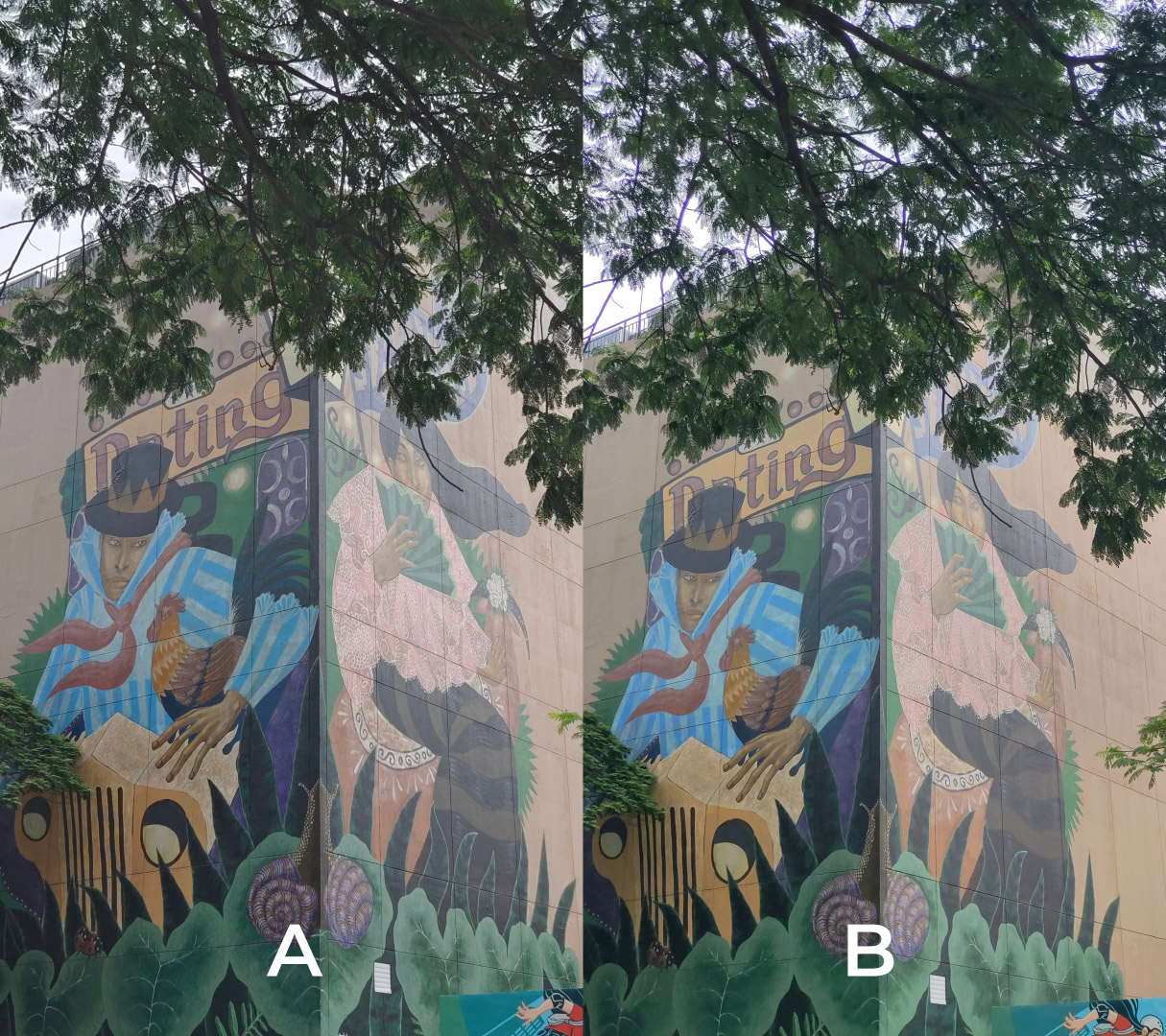 iQOO 9T vivo X80 Pro