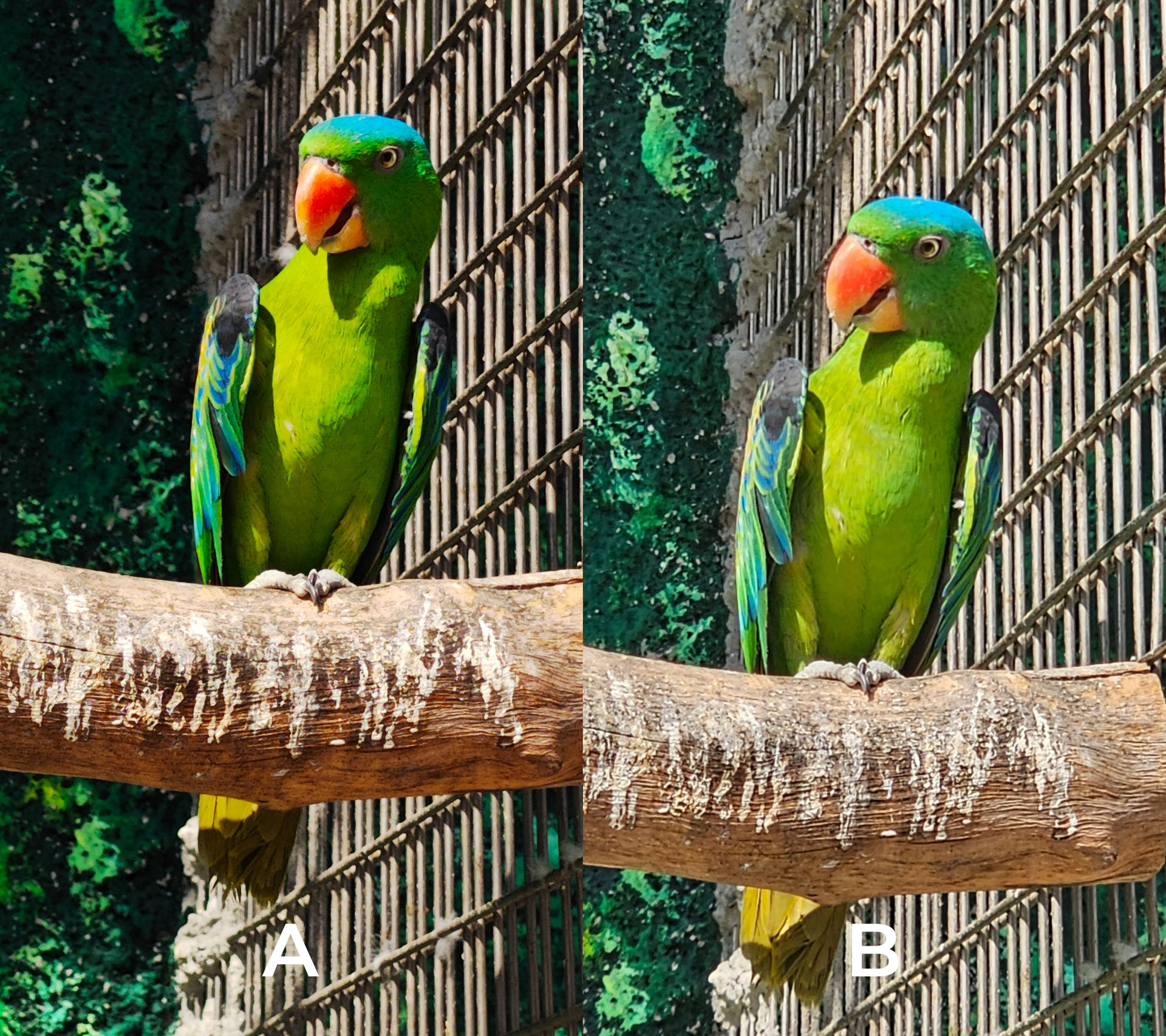 Xiaomi 13 Pro vs Samsung Galaxy S23 Ultra