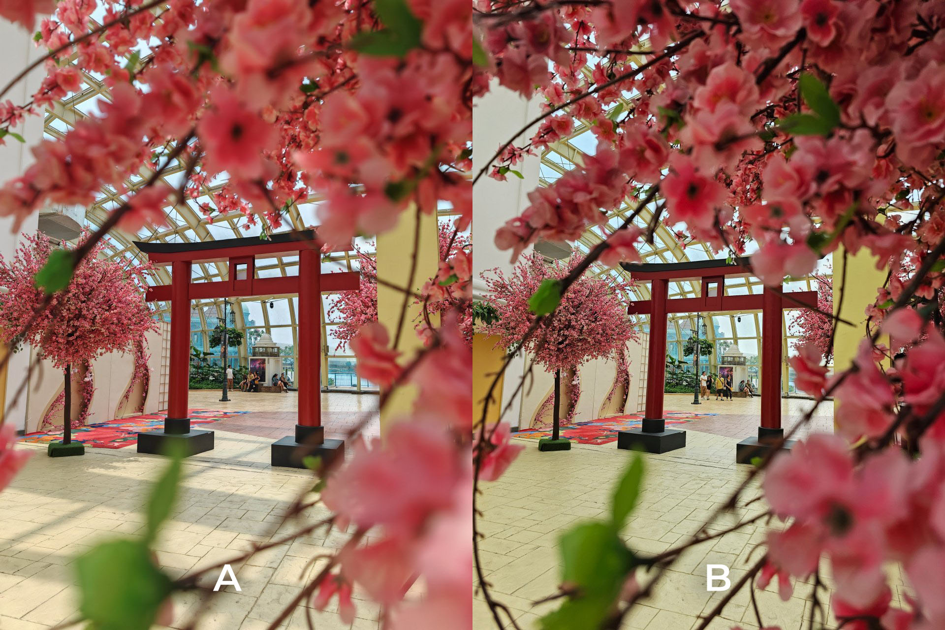 HONOR Magic5 Pro Samsung Galaxy S23 Ultra