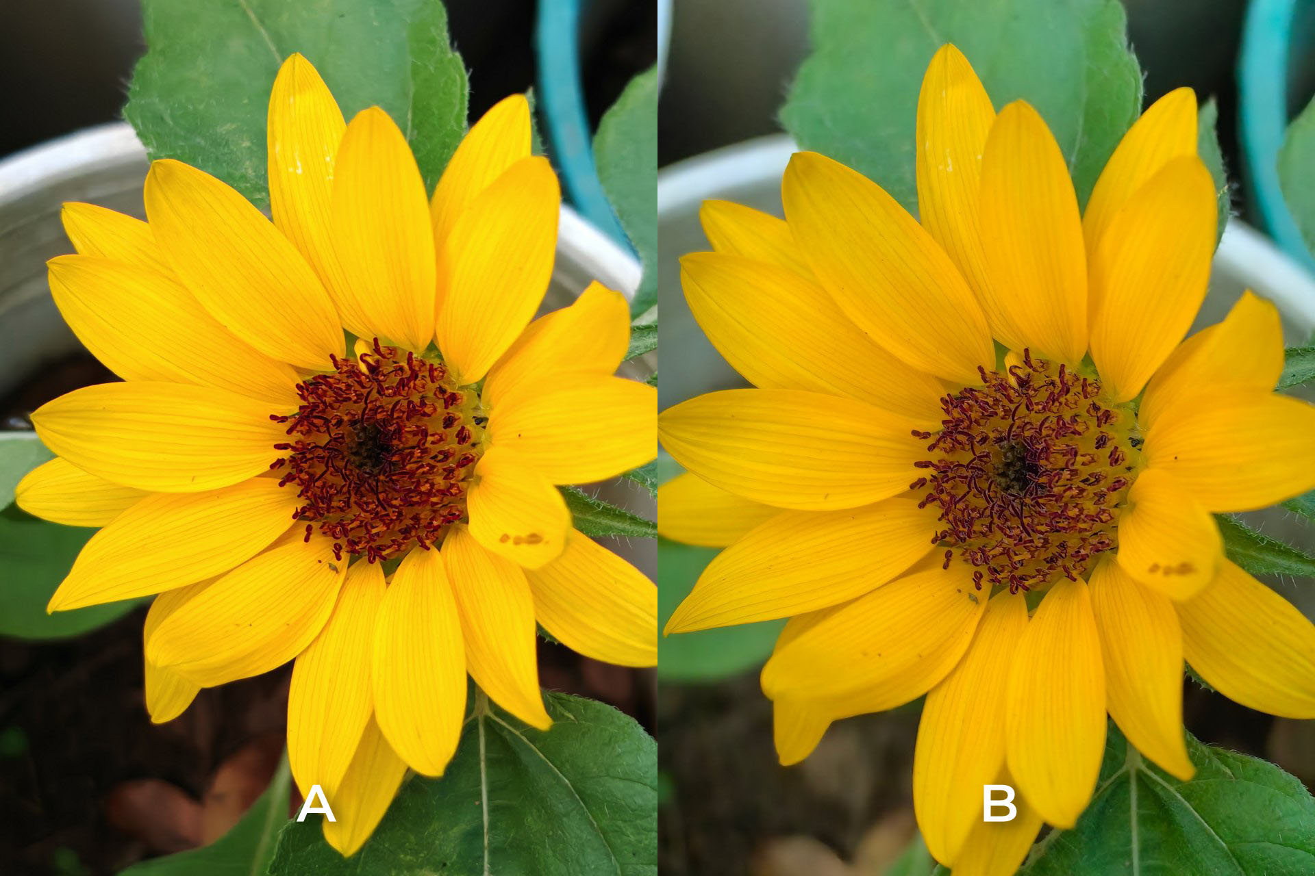 2023 camera shootout
