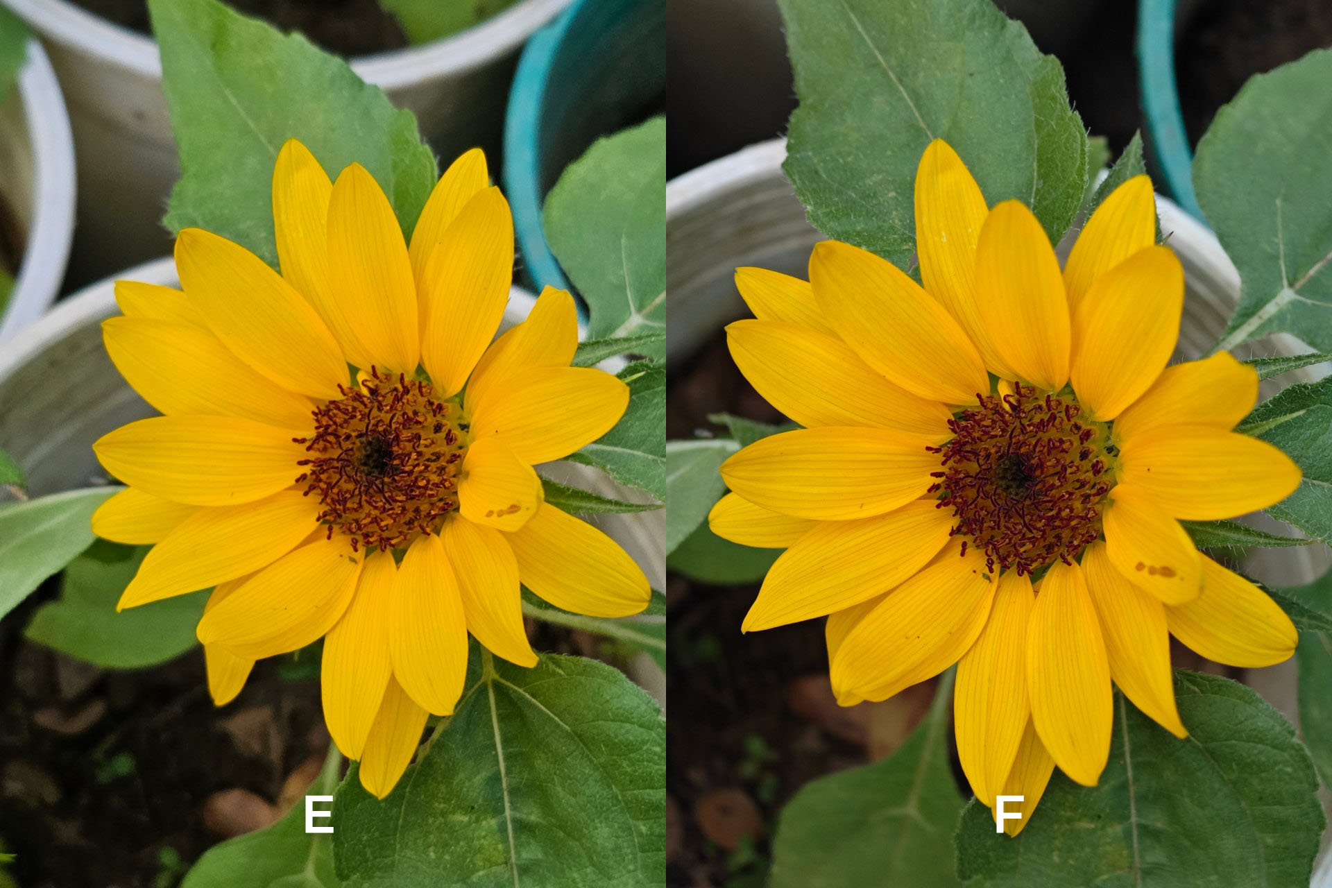 2023 camera shootout
