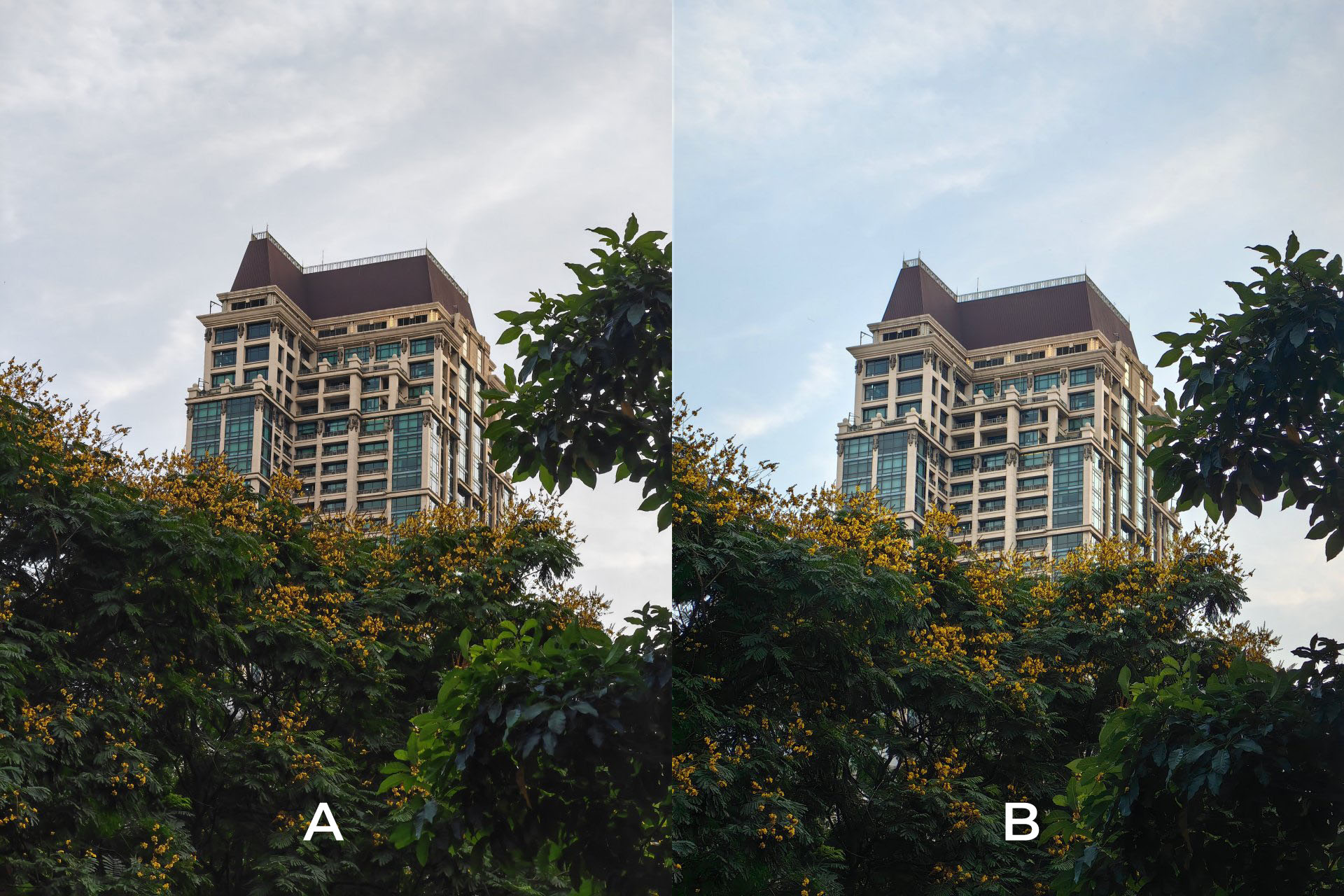 2023 camera shootout