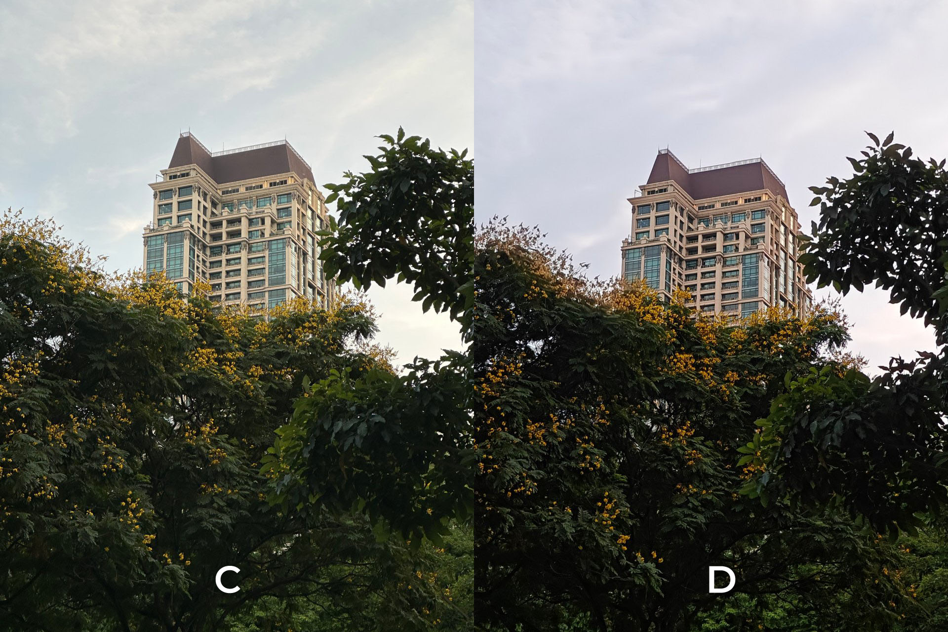 2023 camera shootout