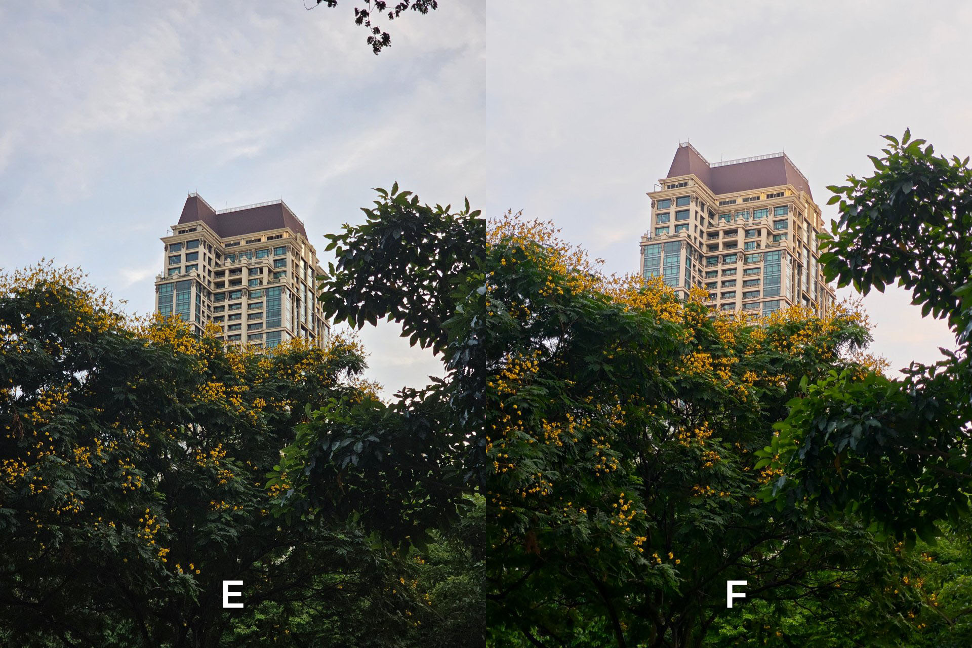 2023 camera shootout