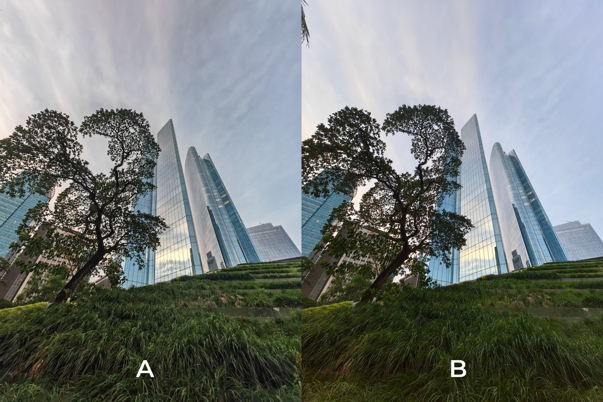 2023 camera shootout