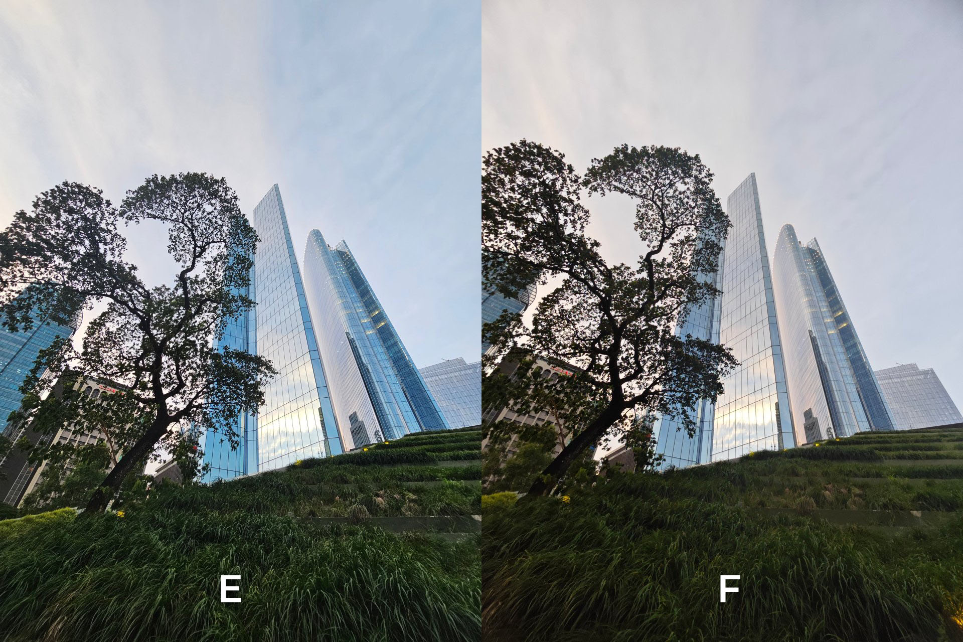 2023 camera shootout