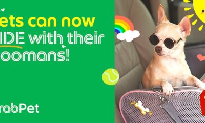 GrabPet