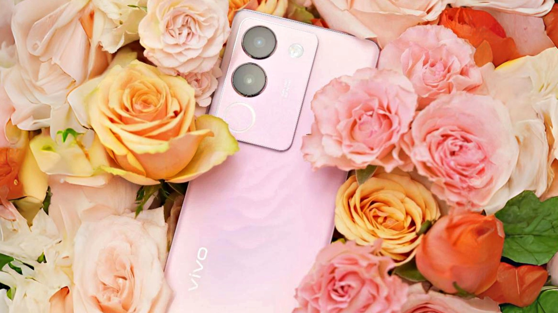 vivo V29 5G Rose Pink