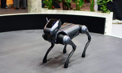 TECNO Robot Dog