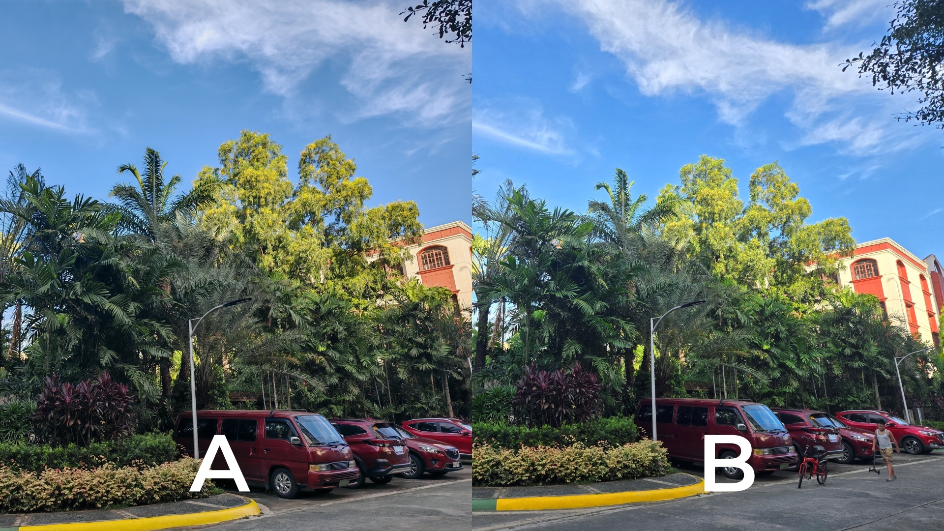 Samsung Galaxy Z Fold6 | HONOR Magic V3