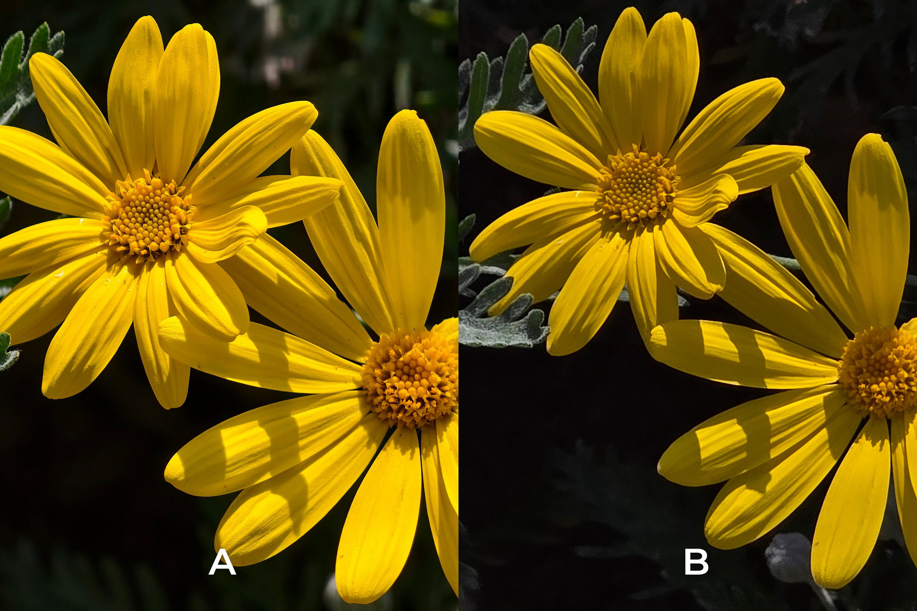 galaxy s25 ultra vivo x200 pro