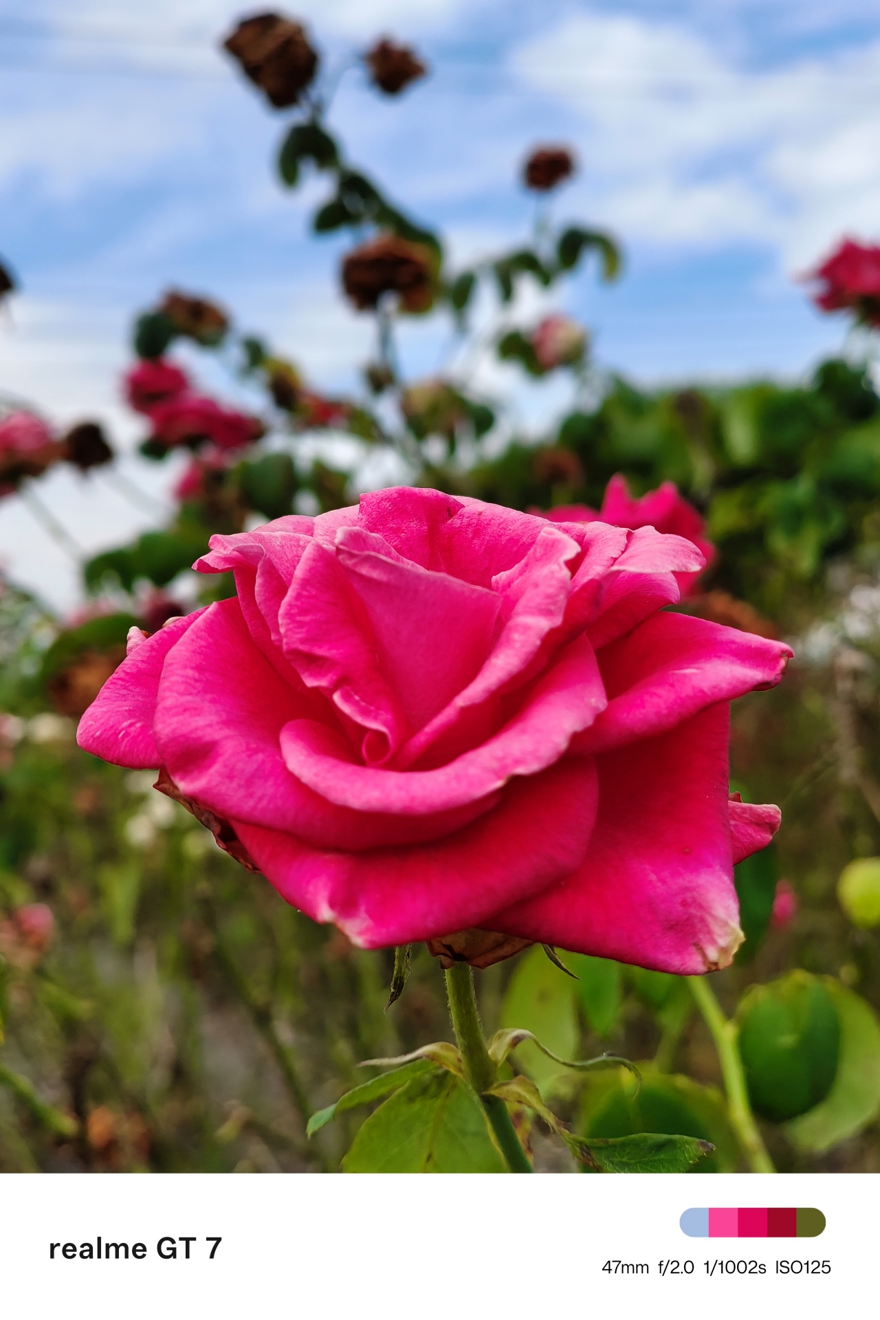 realme GT 7 | Taichung