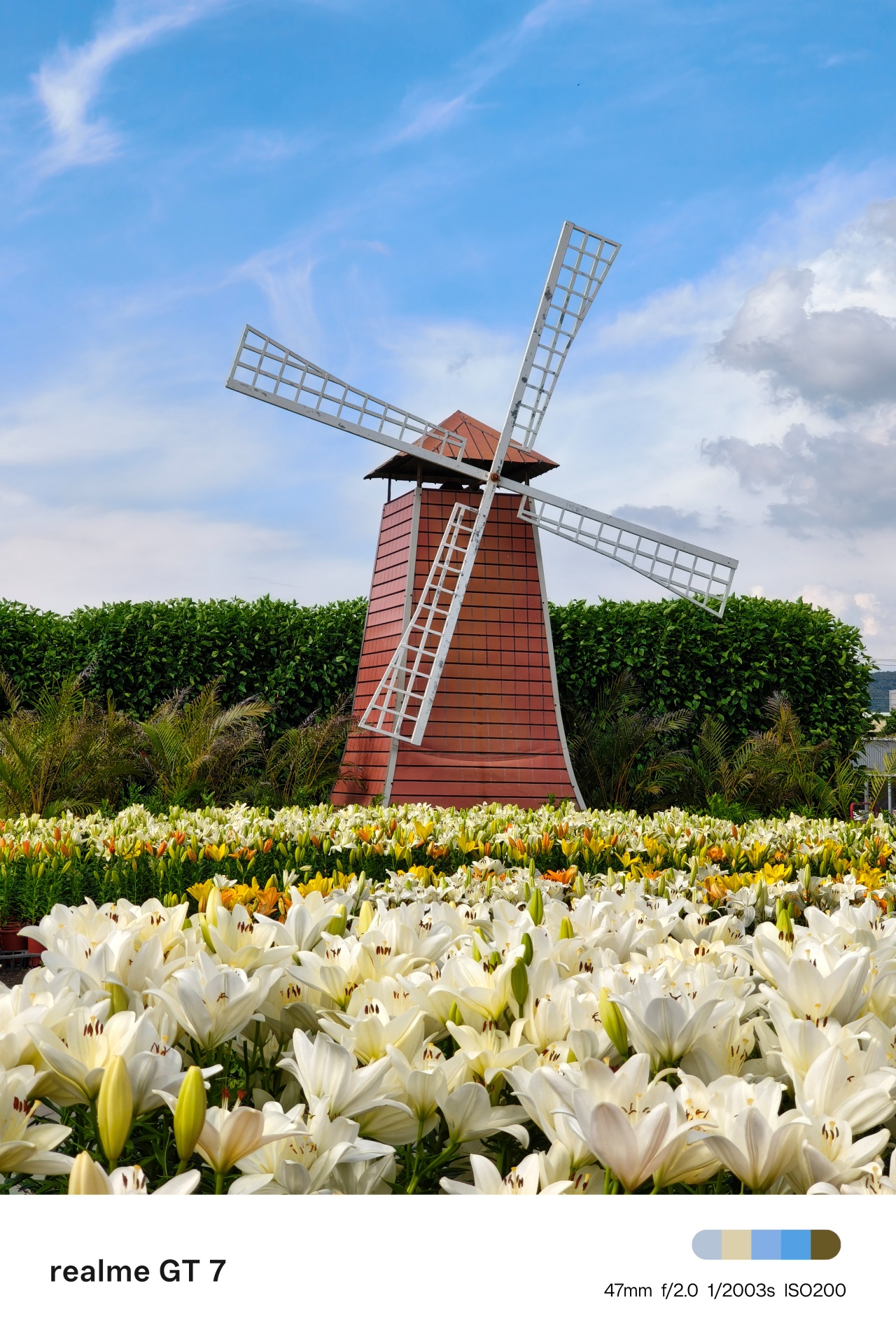 realme GT 7 | Taichung