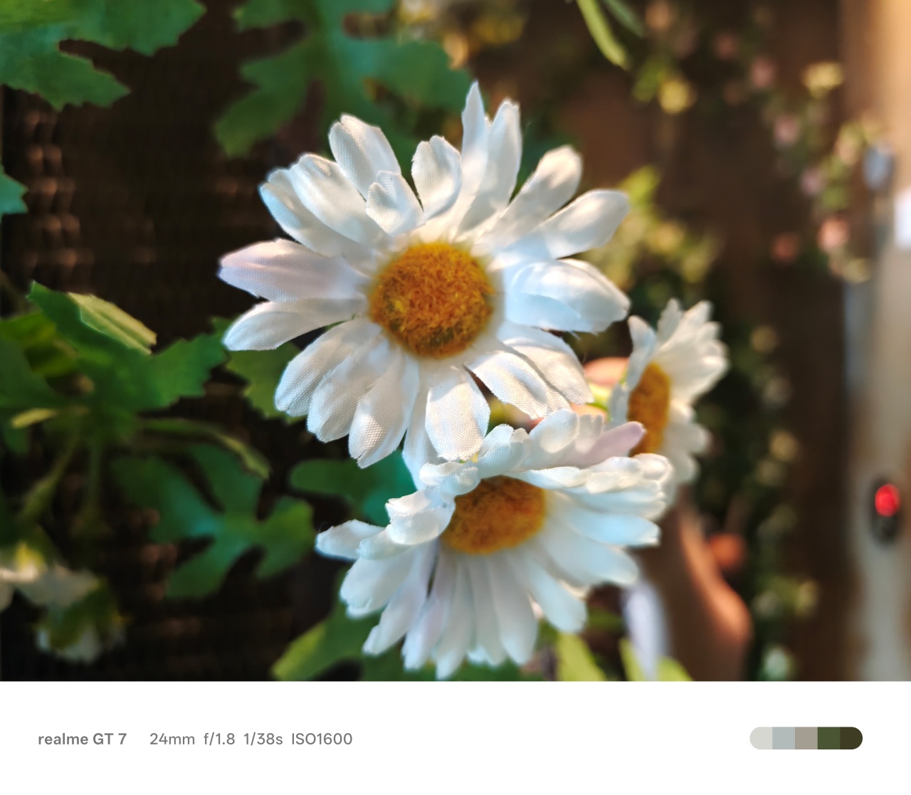 realme GT 7 | Taipei 101