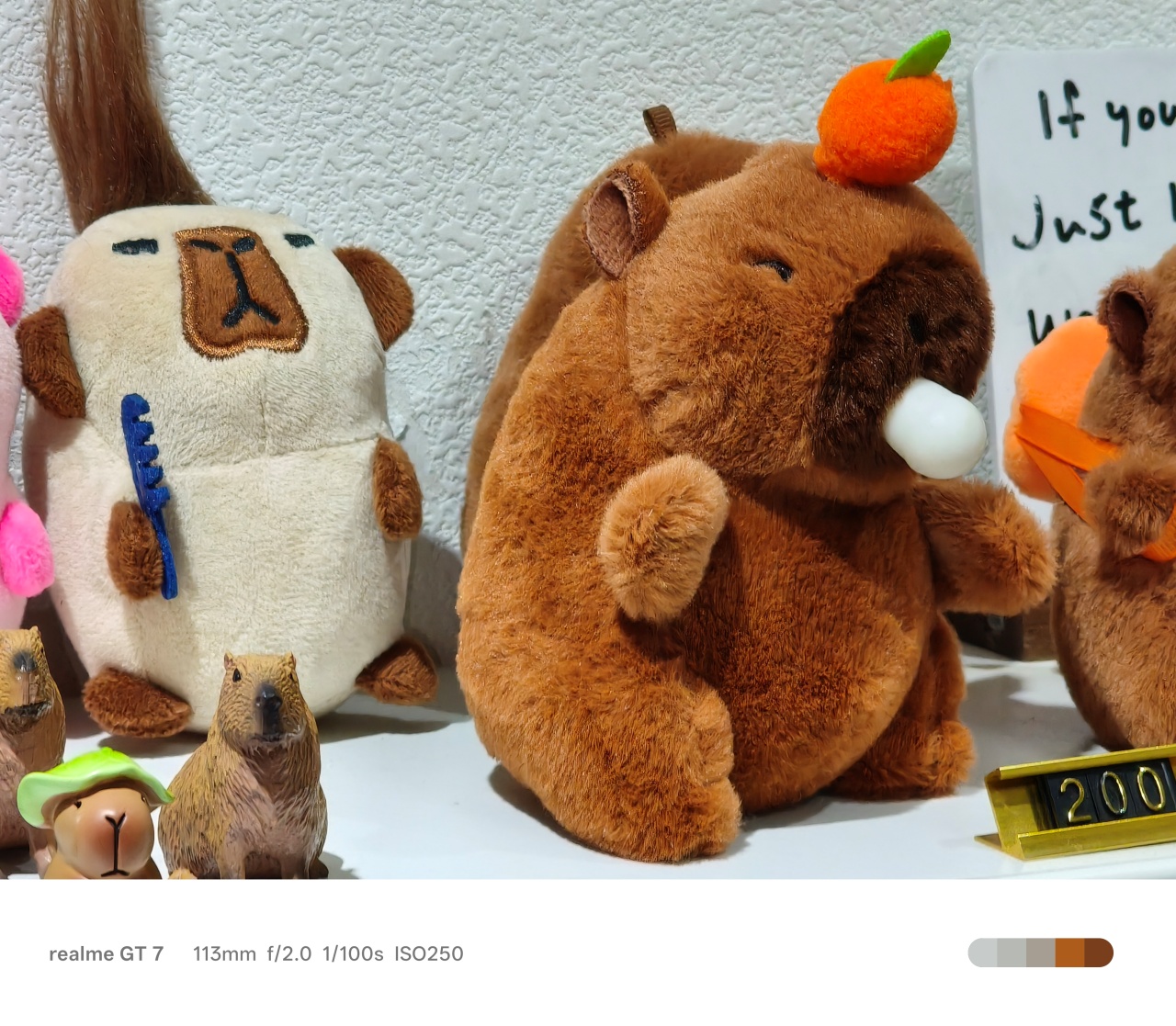 realme GT 7 | Capybara Knight