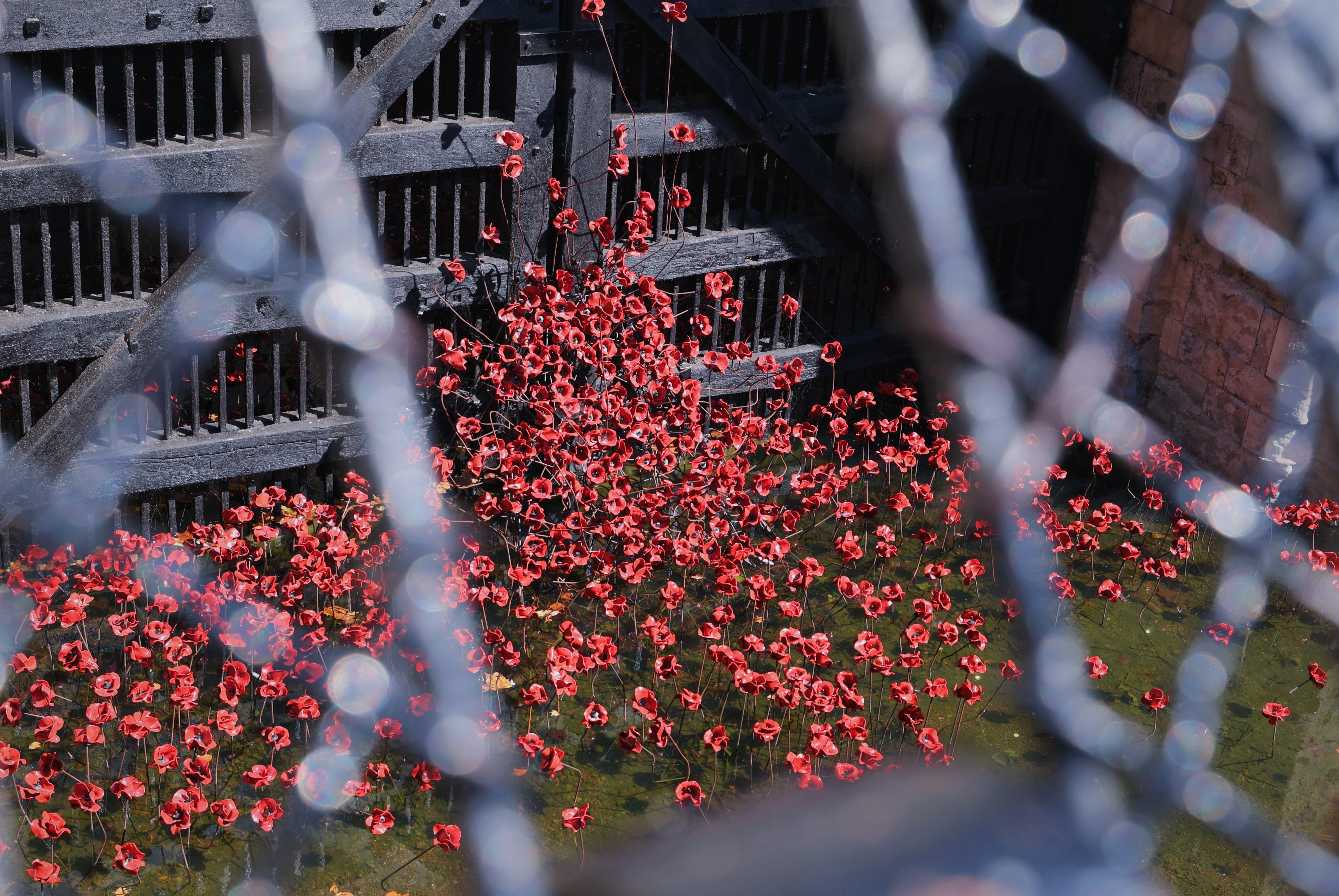 London | Canon EOS R50 V