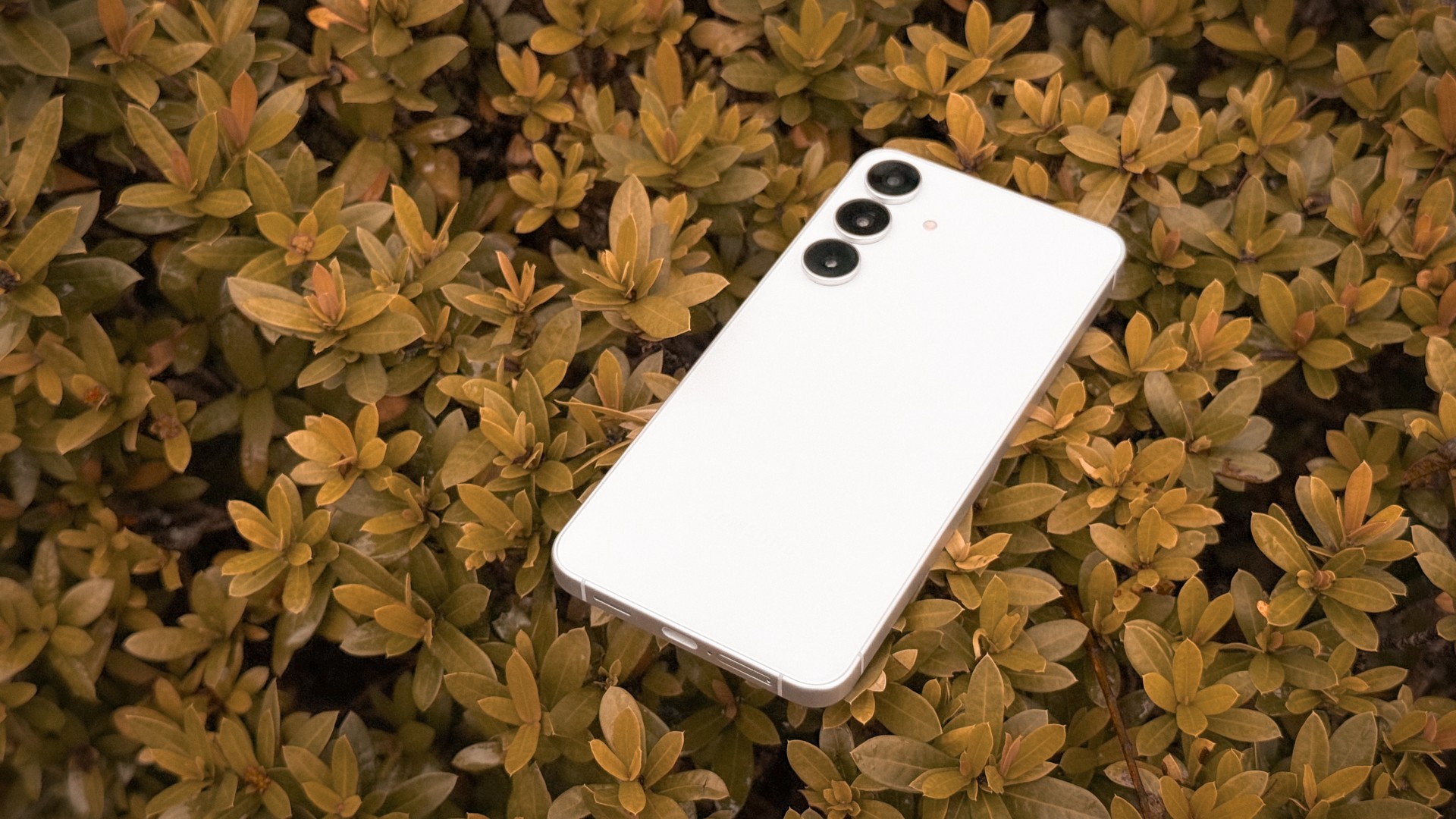 Samsung Galaxy S25 FE