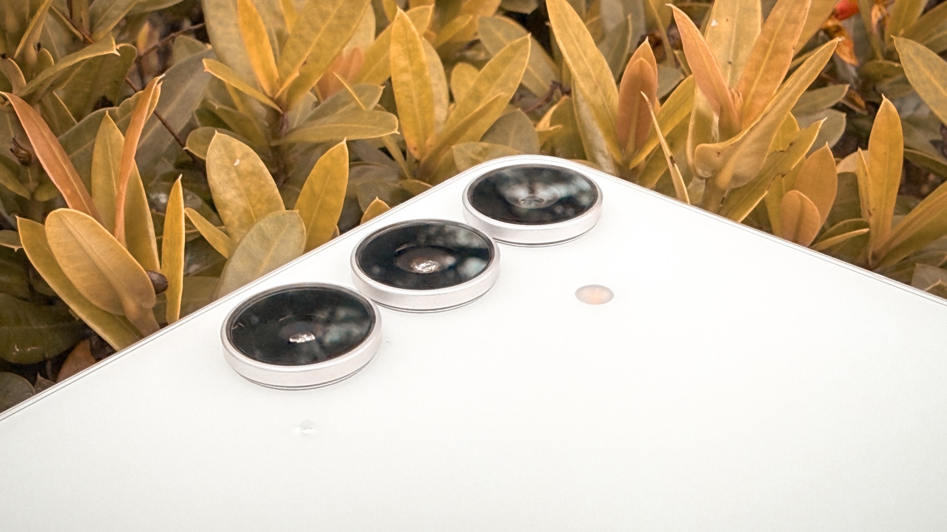 Samsung Galaxy S25 FE