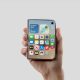 iPhone Duo